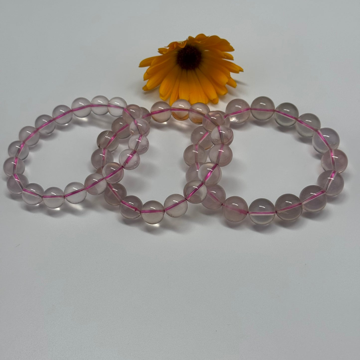 Star Rose Quartz Bracelet – Natural Gemstone Jewelry for Love & Healing (AAA Quality)