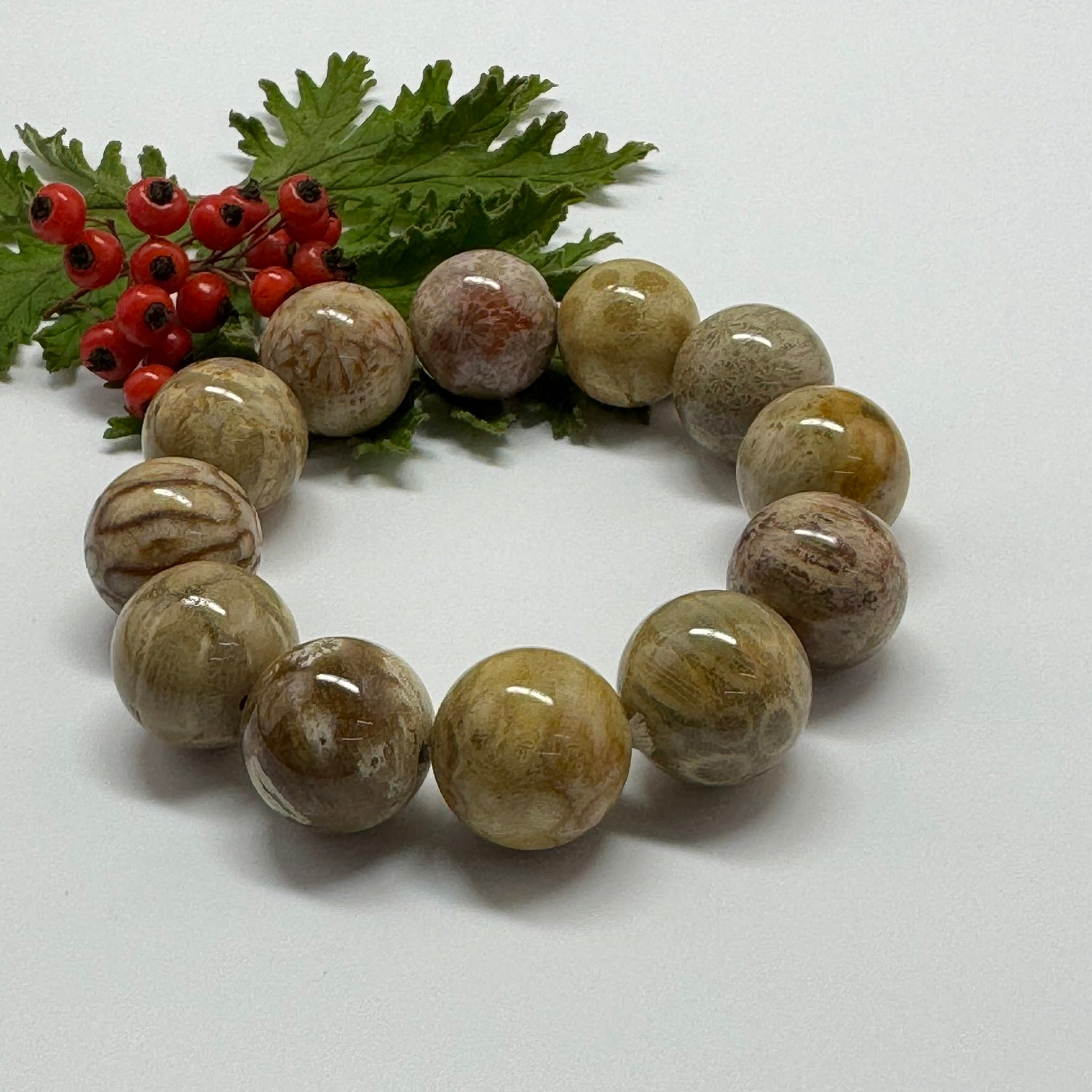 Bracelet: Fossilized Coral Bracelet