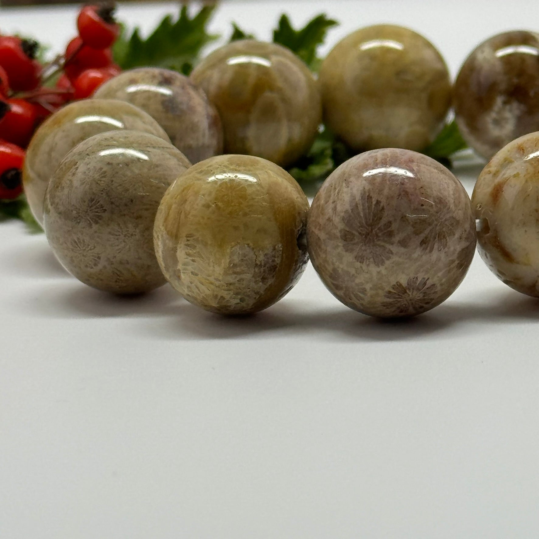 Bracelet: Fossilized Coral Bracelet