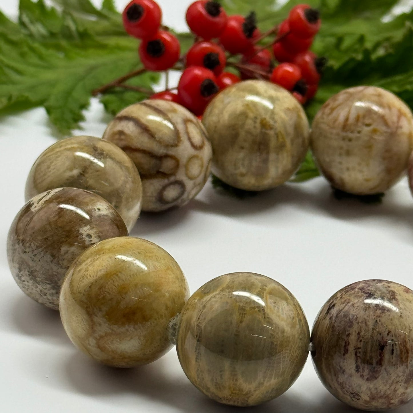 Bracelet: Fossilized Coral Bracelet