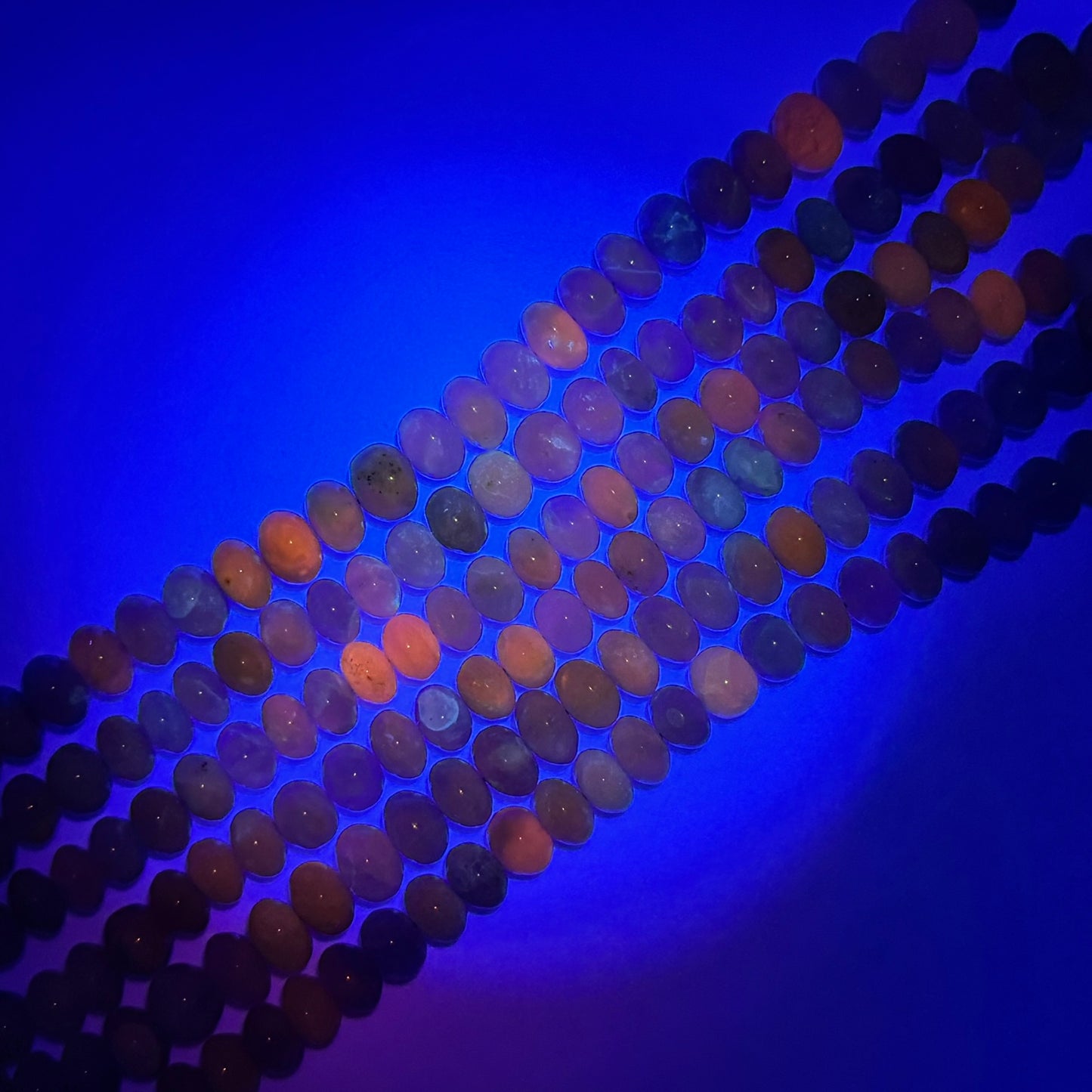 Hackmanite Polished Rondelle Gemstone Beads (A Quality)