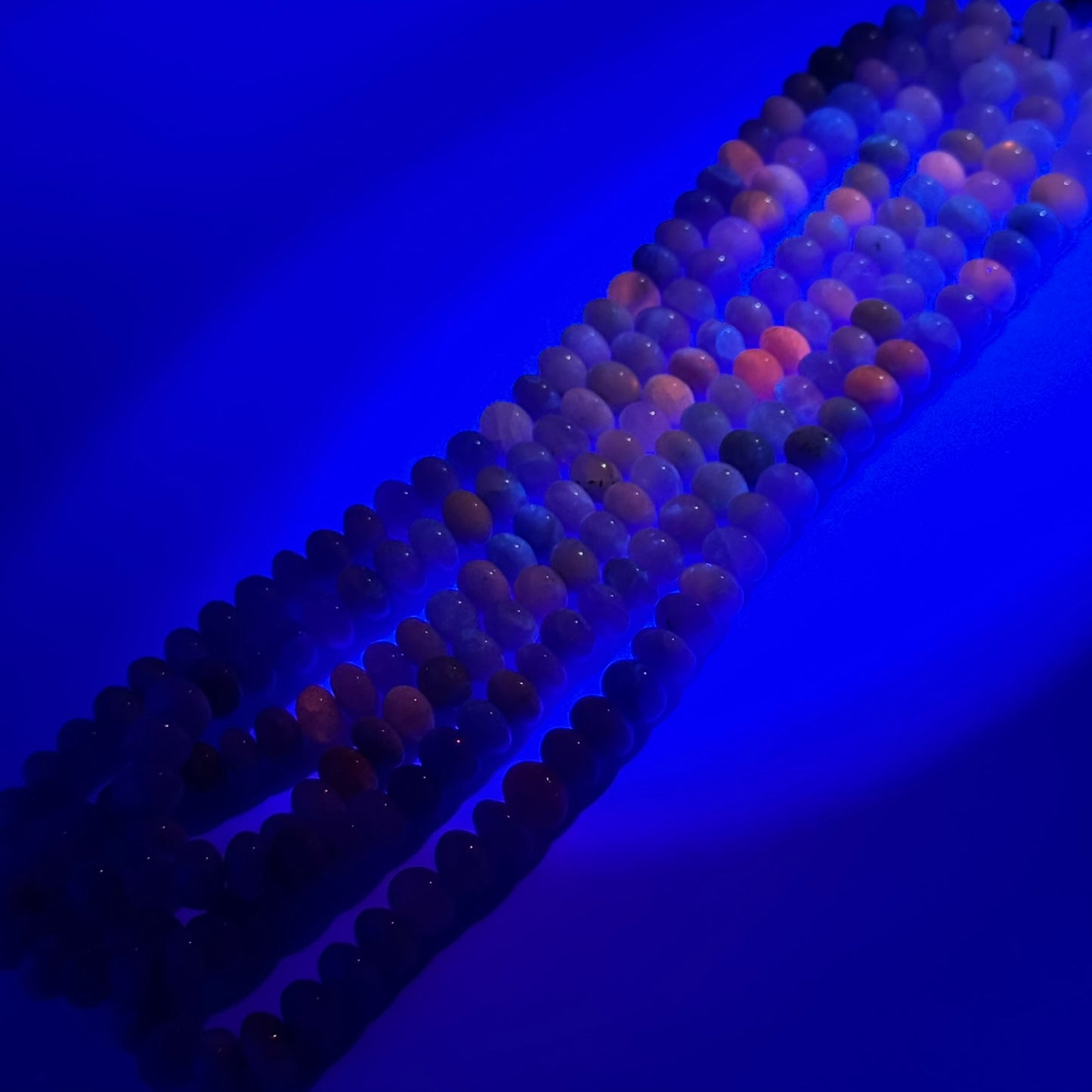 Hackmanite Polished Rondelle Gemstone Beads (A Quality)