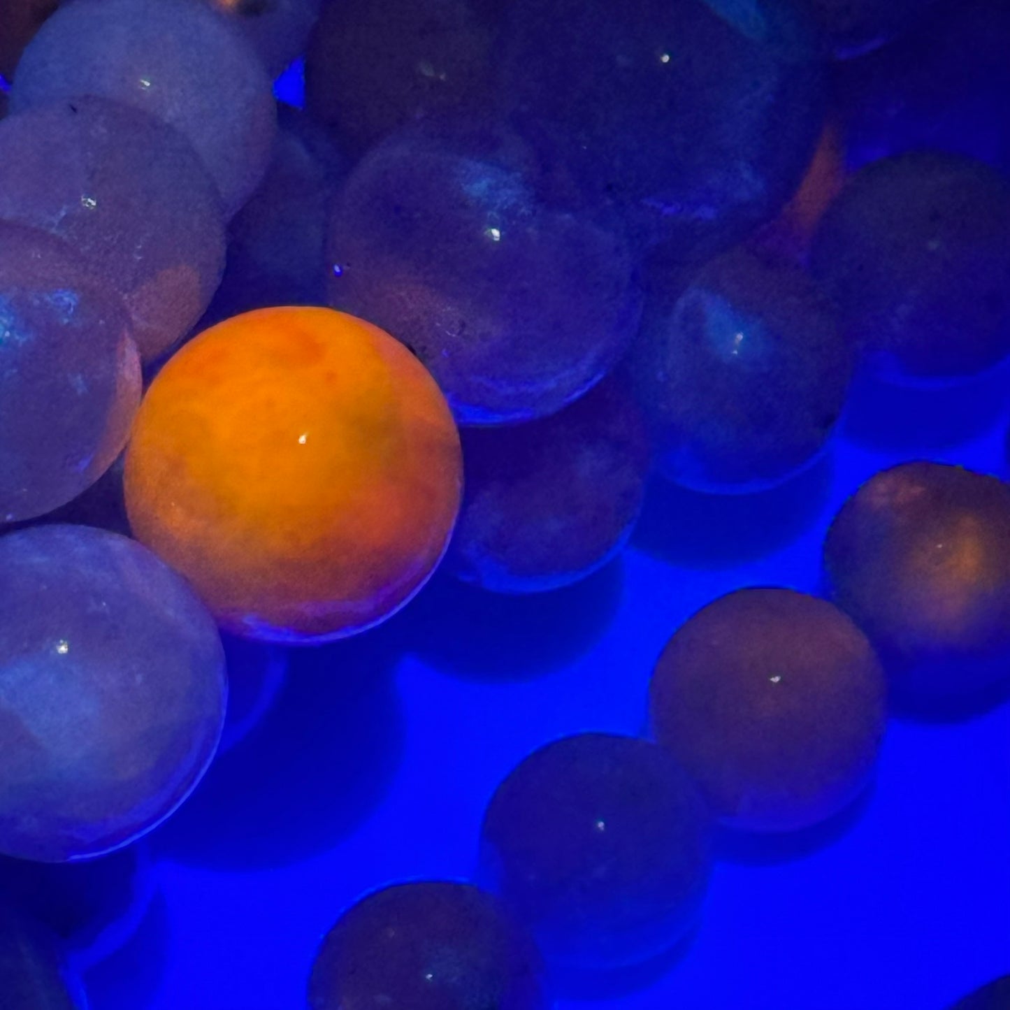 Hackmanite Polished Round Gemstone Beads