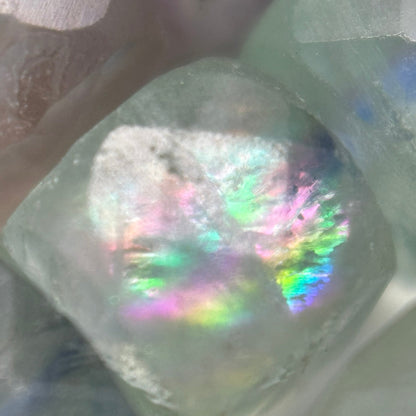 Faceted Rainbow Green Fluorite Square Beads