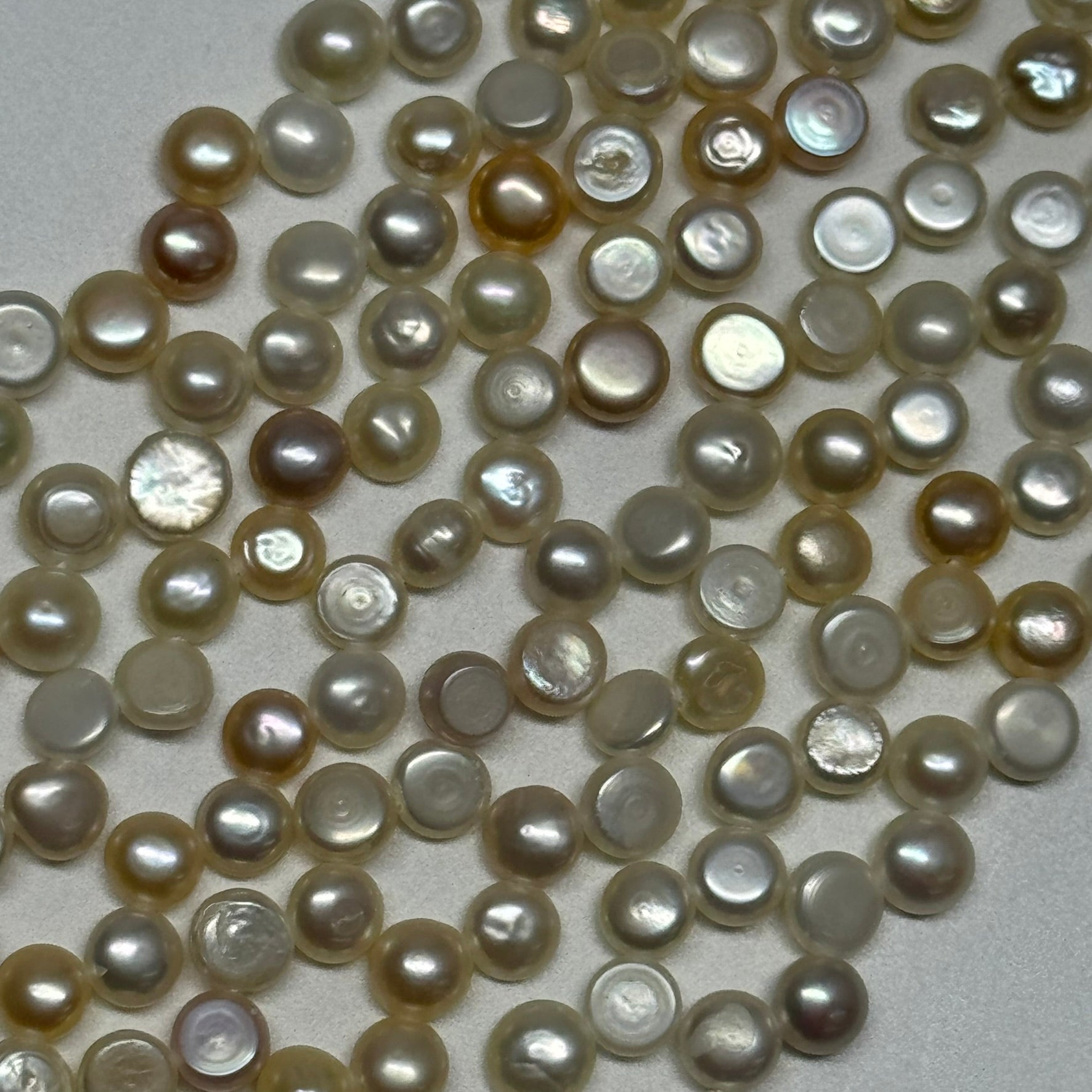 Freshwater Cultured Button Pearl - (AA Quality)