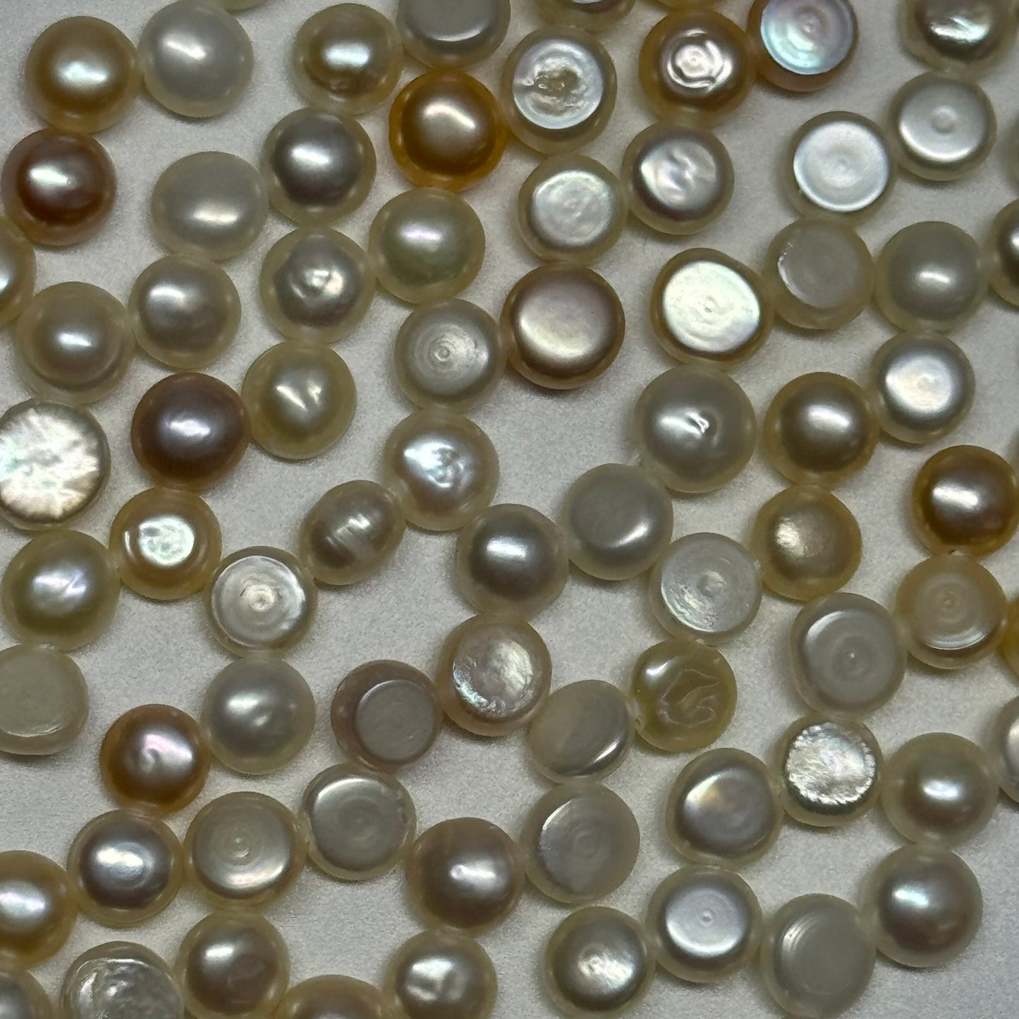 Freshwater Cultured Button Pearl - (AA Quality)