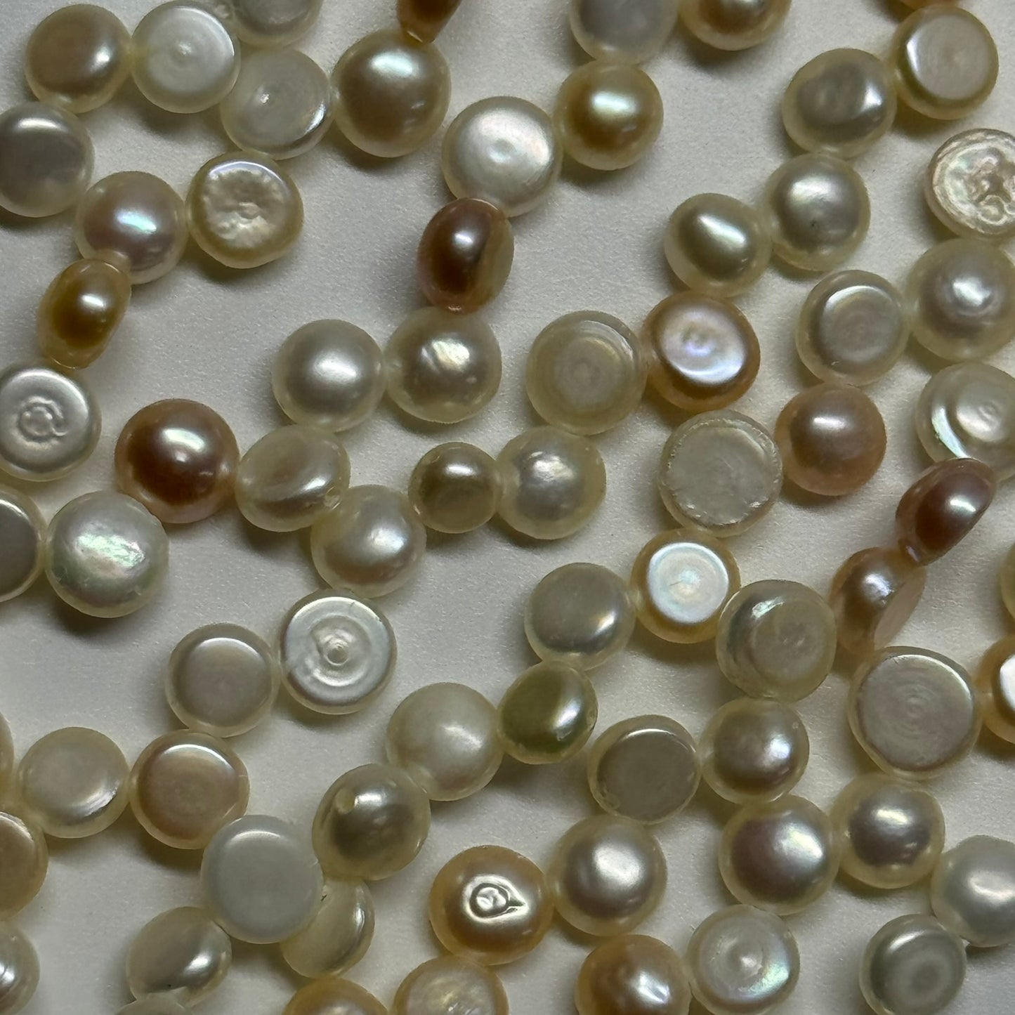 Freshwater Cultured Button Pearl - (AA Quality)