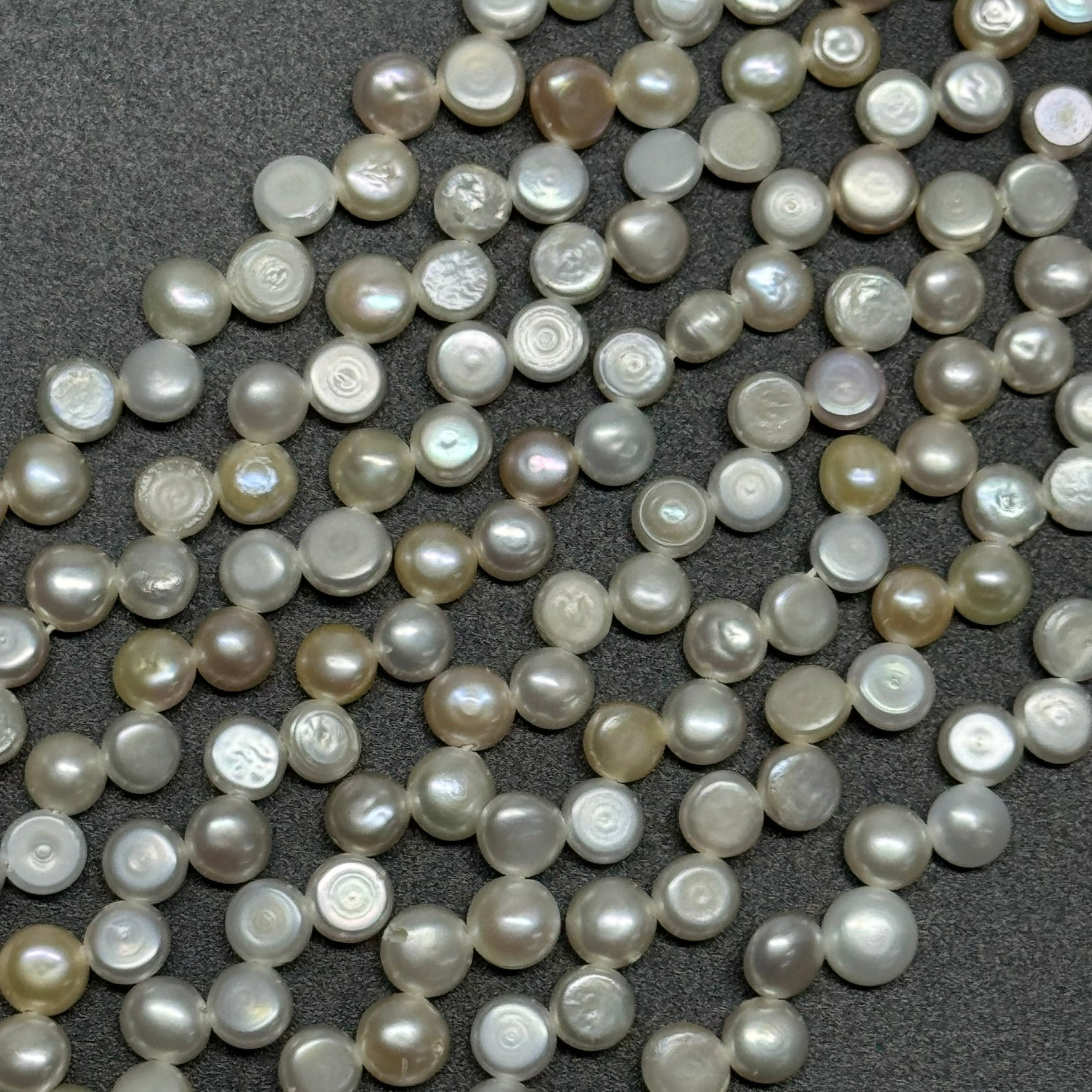Freshwater Cultured Button Pearl - (AA Quality)