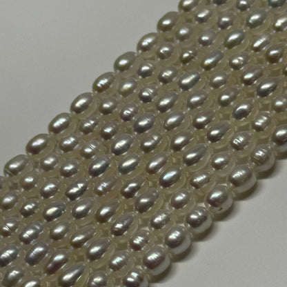 Freshwater Cultured Pearl - (AA Quality)