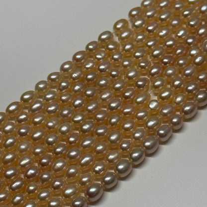 Freshwater Cultured Pearl - (AA Quality)