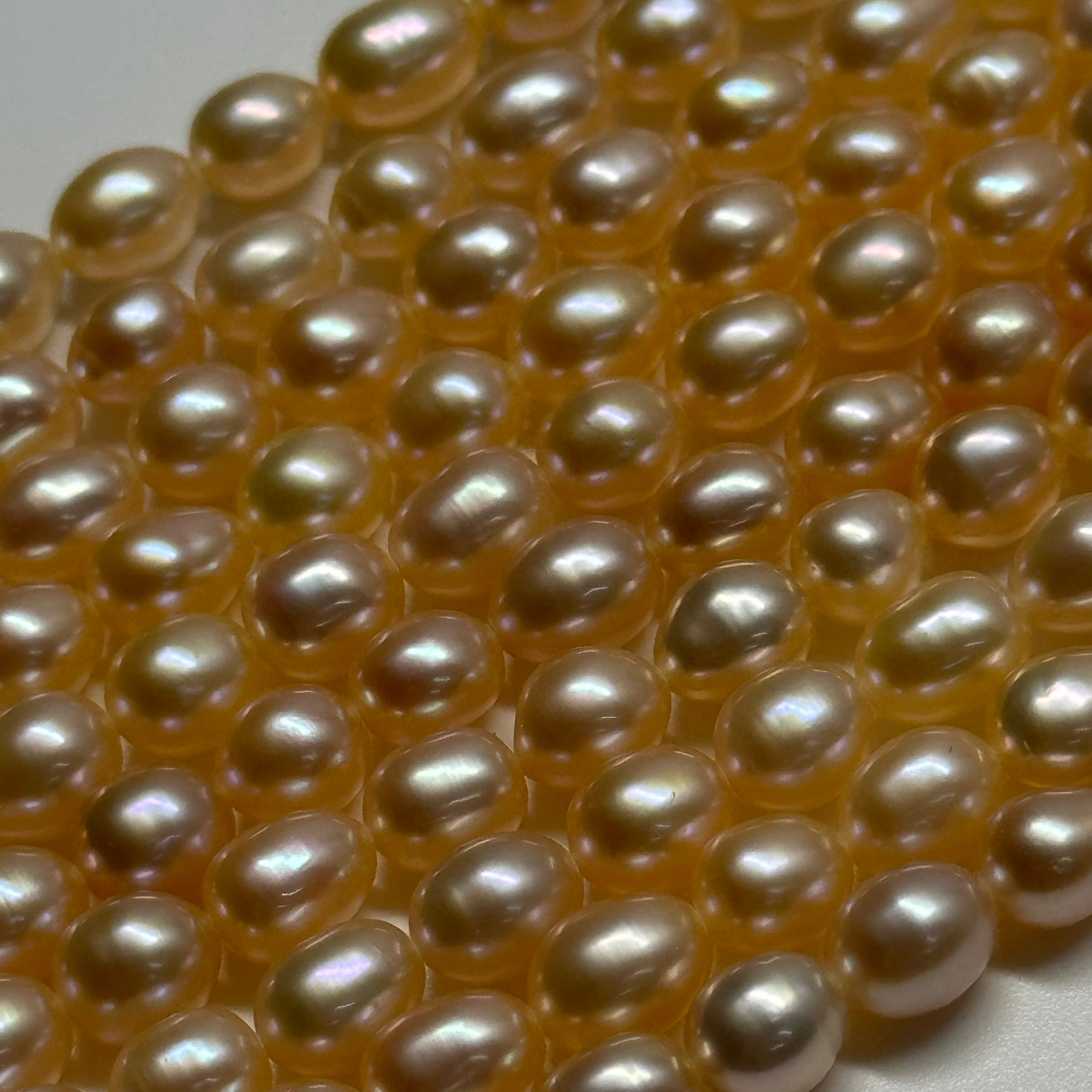 Freshwater Cultured Pearl - (AA Quality)