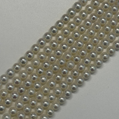 Freshwater Cultured Pearl - (AAA Quality)