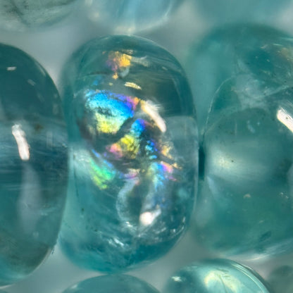 Blue Green Apatite Polished Rondelle Gemstone Beads (A Quality)