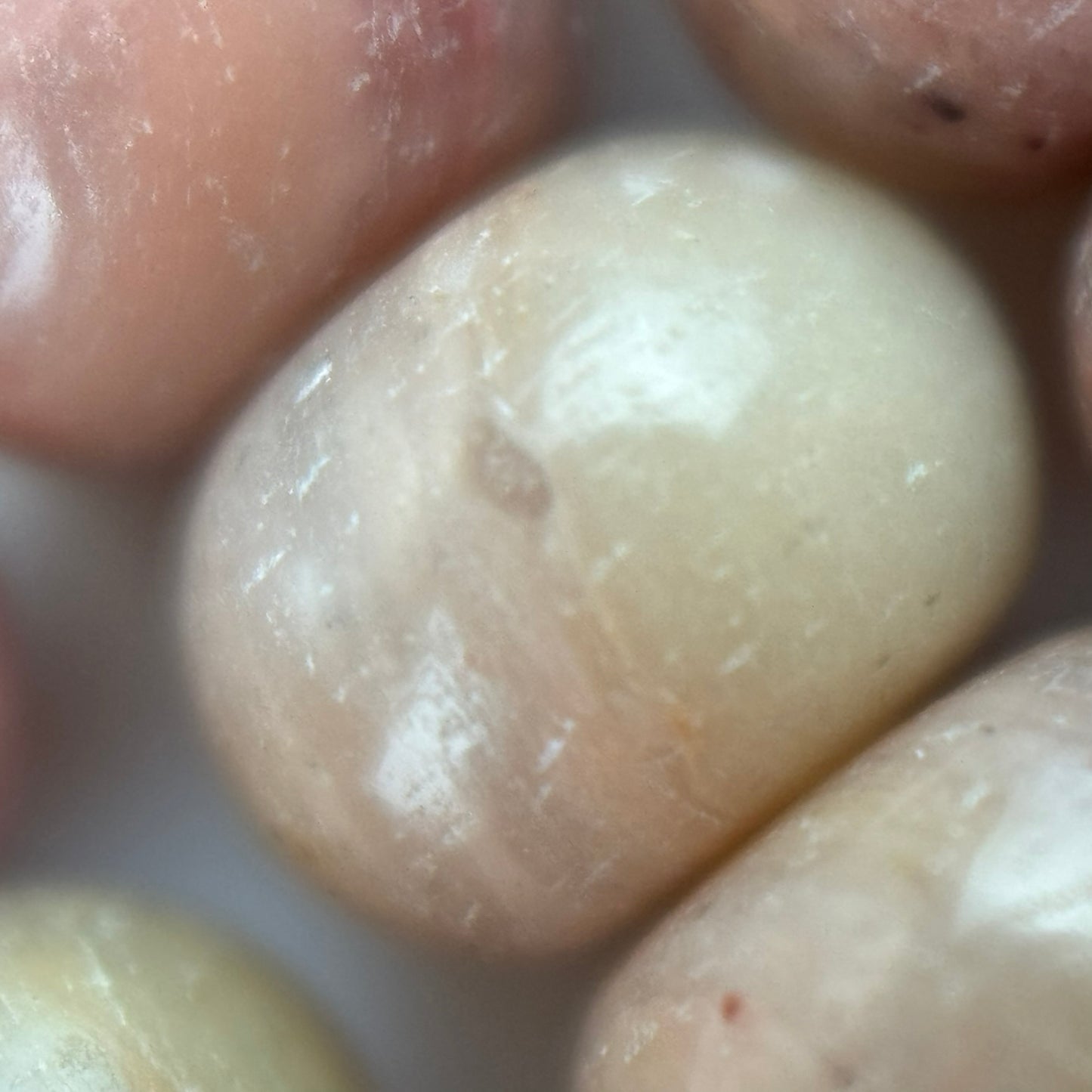 Pink Rhodonite Polished Rondelle Beads (A Quality)