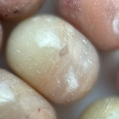 Pink Rhodonite Polished Rondelle Beads - (A Quality)