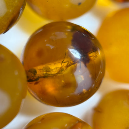 Amber Polished Round Gemstone Beads - (AA Quality)