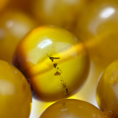 Amber Polished Round Gemstone Beads - (AA Quality)