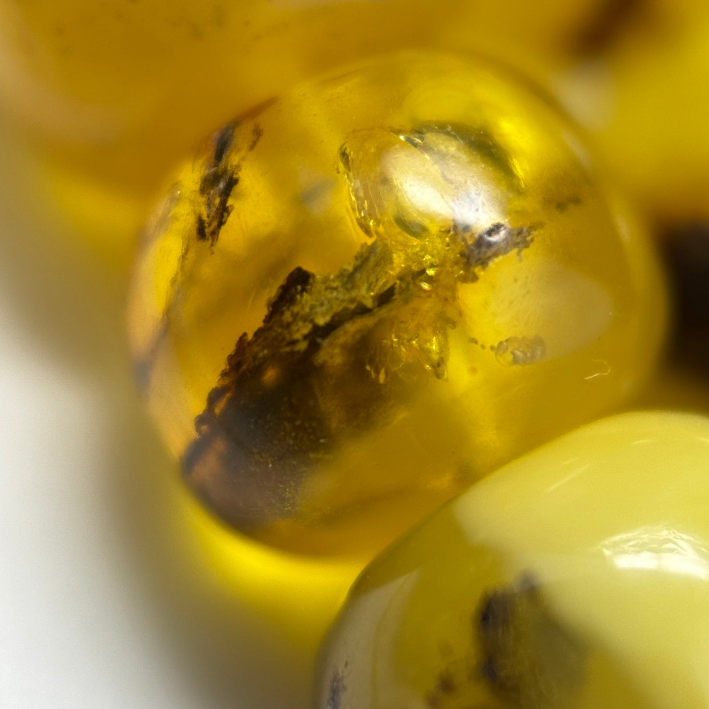 Amber Polished Round Beads (AA Quality)