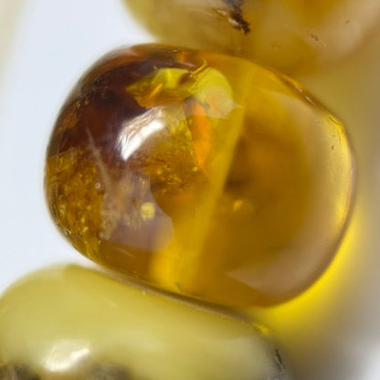 Amber Polished Round Gemstone Beads - (AA Quality)