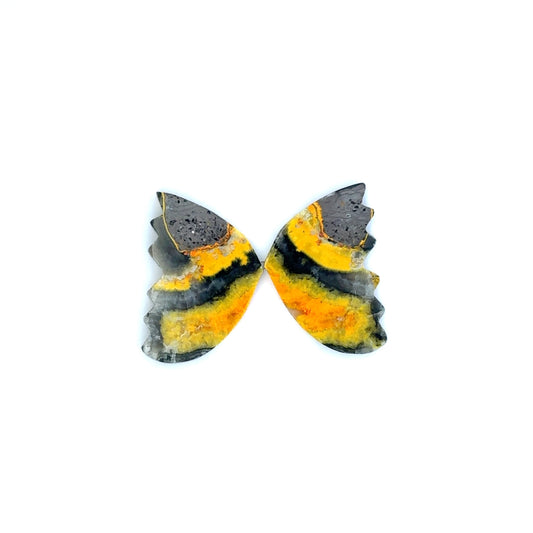 Bumblebee Jasper, Butterfly Wings