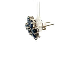 Sapphire Flower-Shaped Earrings – Elegant Gemstone Jewelry with Floral Design