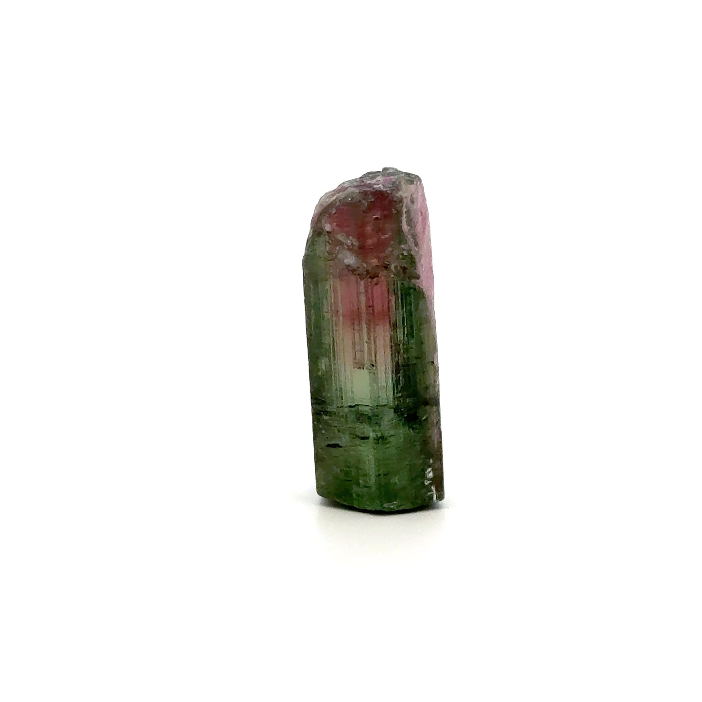 Watermelon Tourmaline Rough Crystal – Natural Raw Pink & Green Gemstone