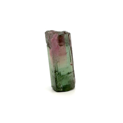 Watermelon Tourmaline Rough Crystal – Natural Raw Pink & Green Gemstone