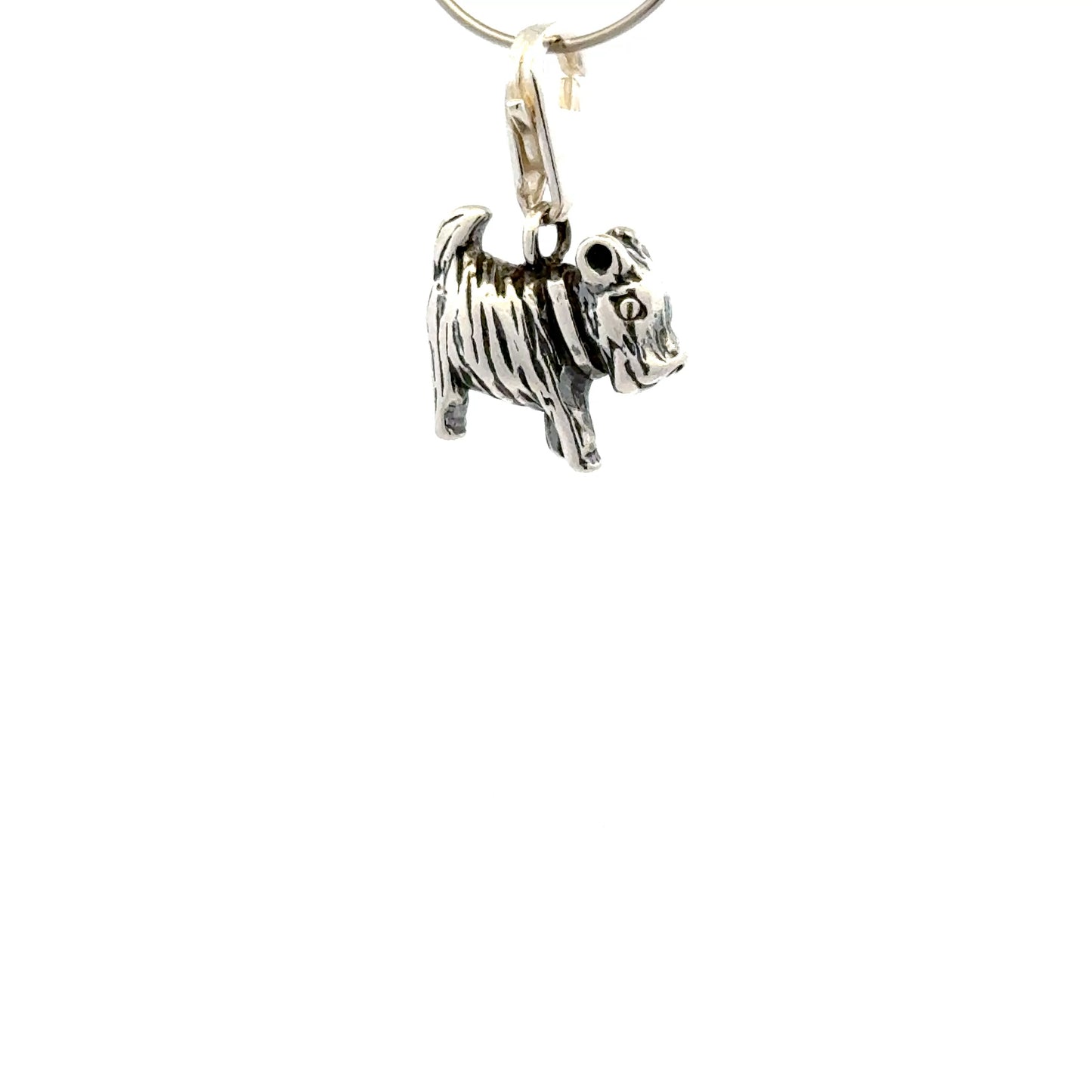 925 Sterling Silver Dog in Smooth-Collar with Tear-drop - Lobster Clasp