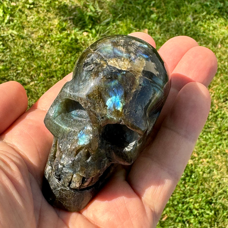 Labradorite Skull Carving (3 x 2.5 inches) image 0