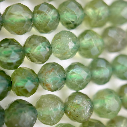 Green Apatite AA Faceted Round Beads image 4