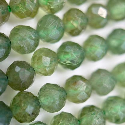 Green Apatite AA Faceted Round Beads image 6