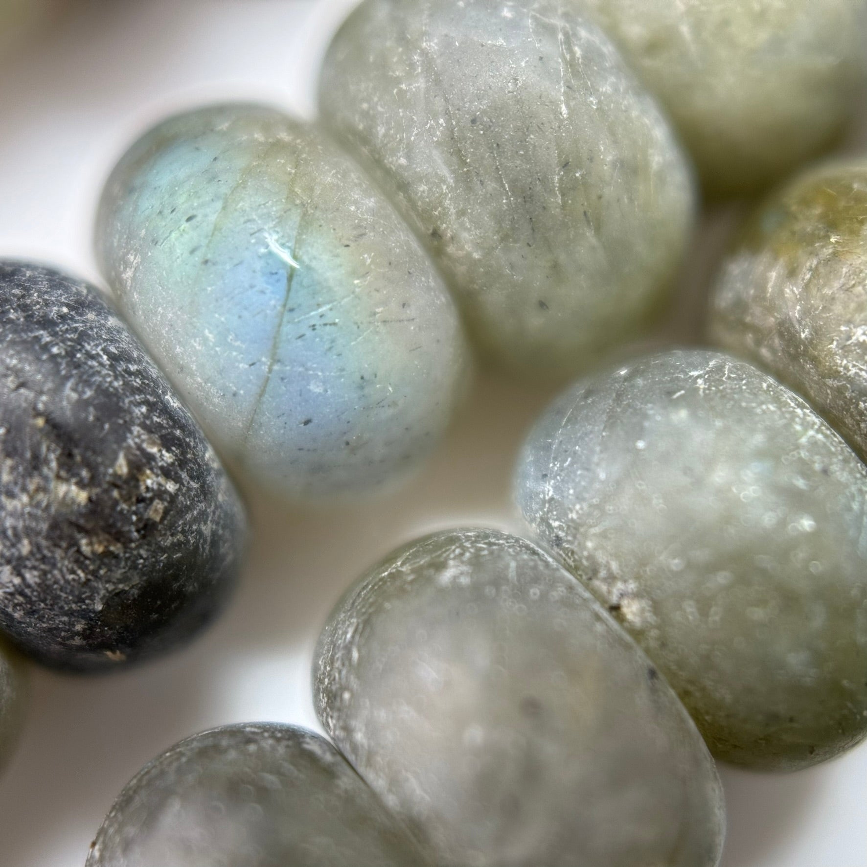 Labradorite Frosted Rondelle Beads image 4