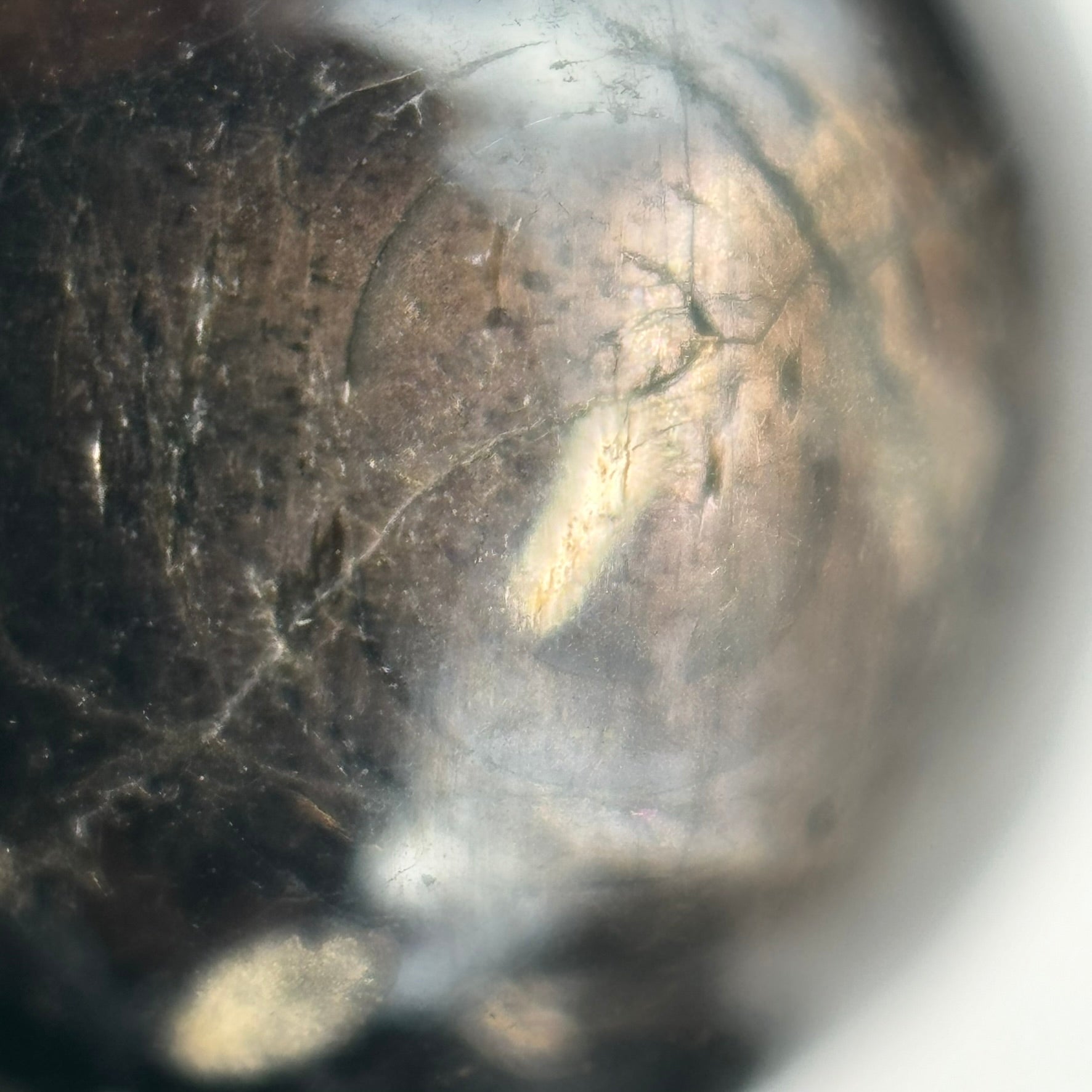 Hyperstene Polished  Round Beads image 4