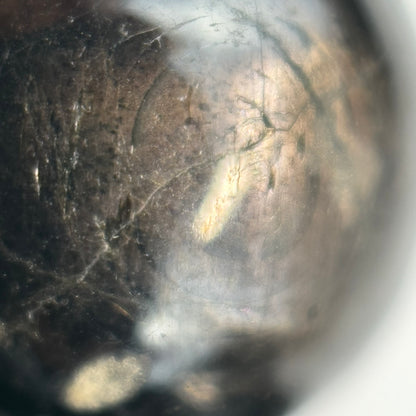 Hyperstene Polished  Round Beads image 4