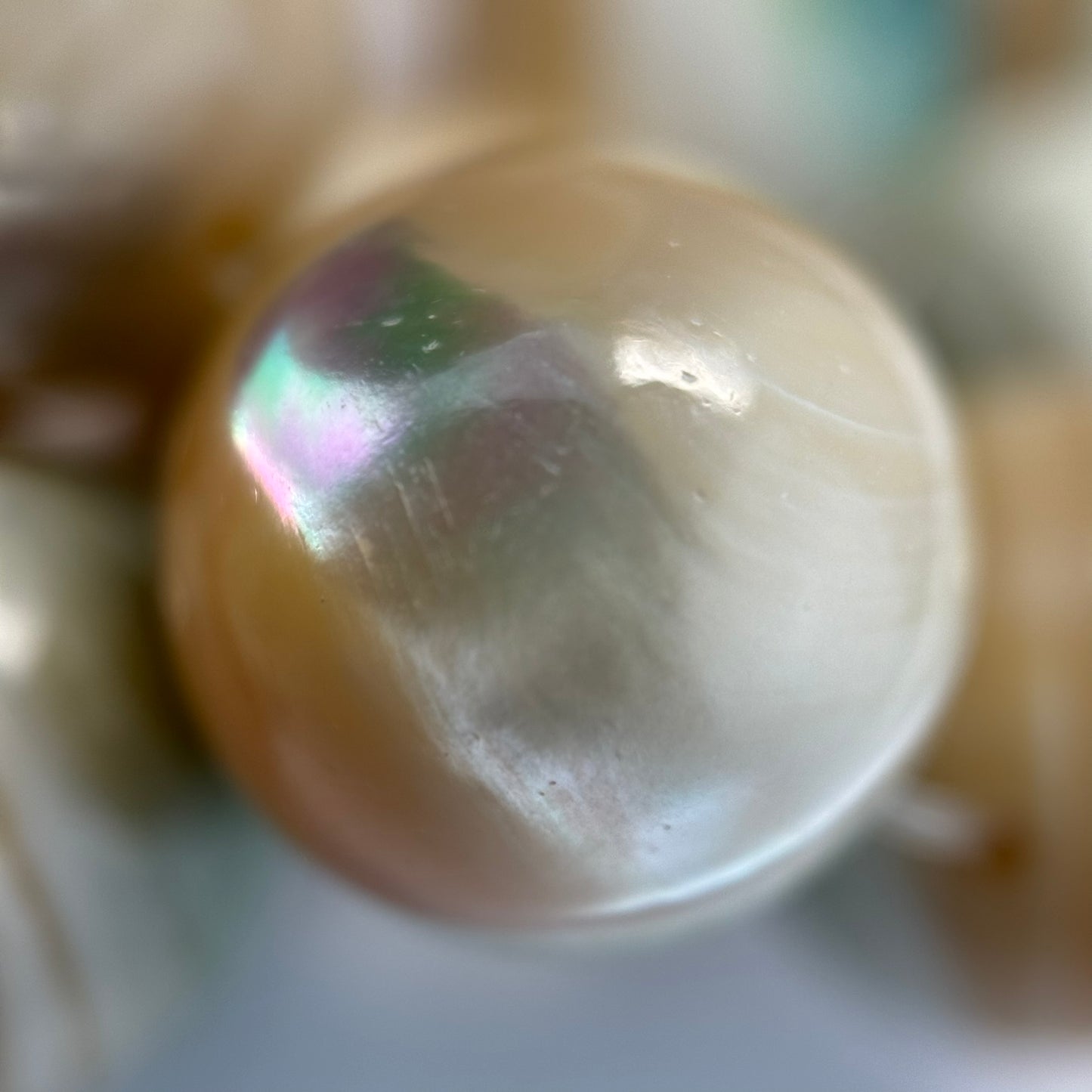 Green Shell Polished Round Beads image 2