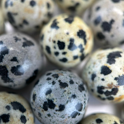 Dalmatian Jasper Polished  Round Beads image 7