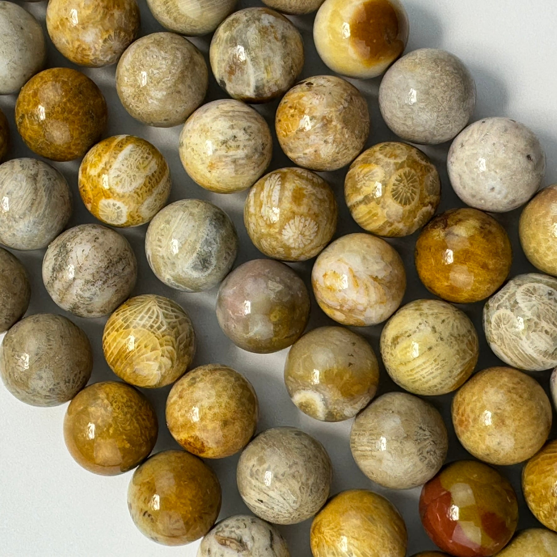 Fossilized Coral Polished Roudn Beads image 9