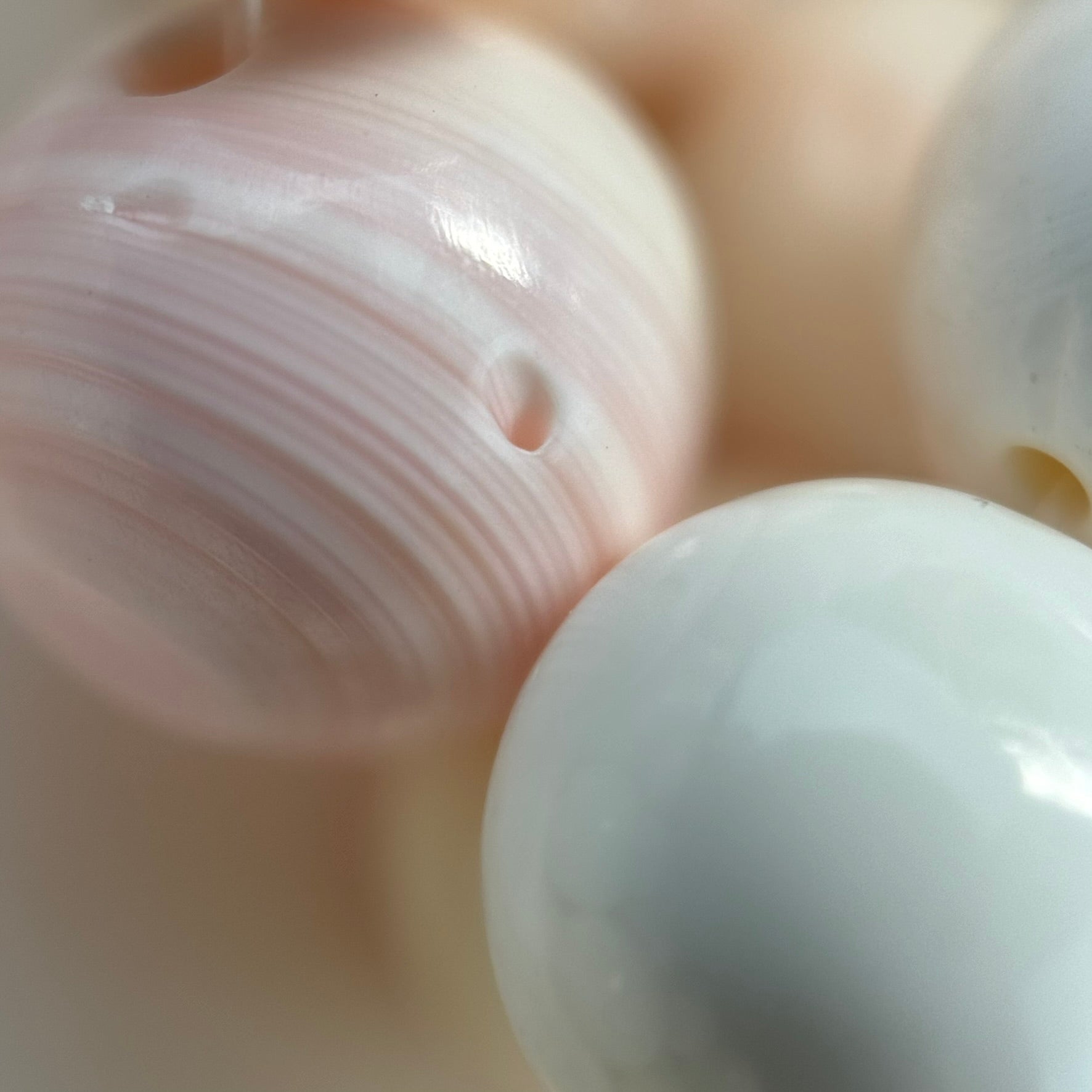 Pink Shell Polished Round Beads image 2