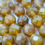 Dark Yellow Apatite Faceted Round Beads image 3