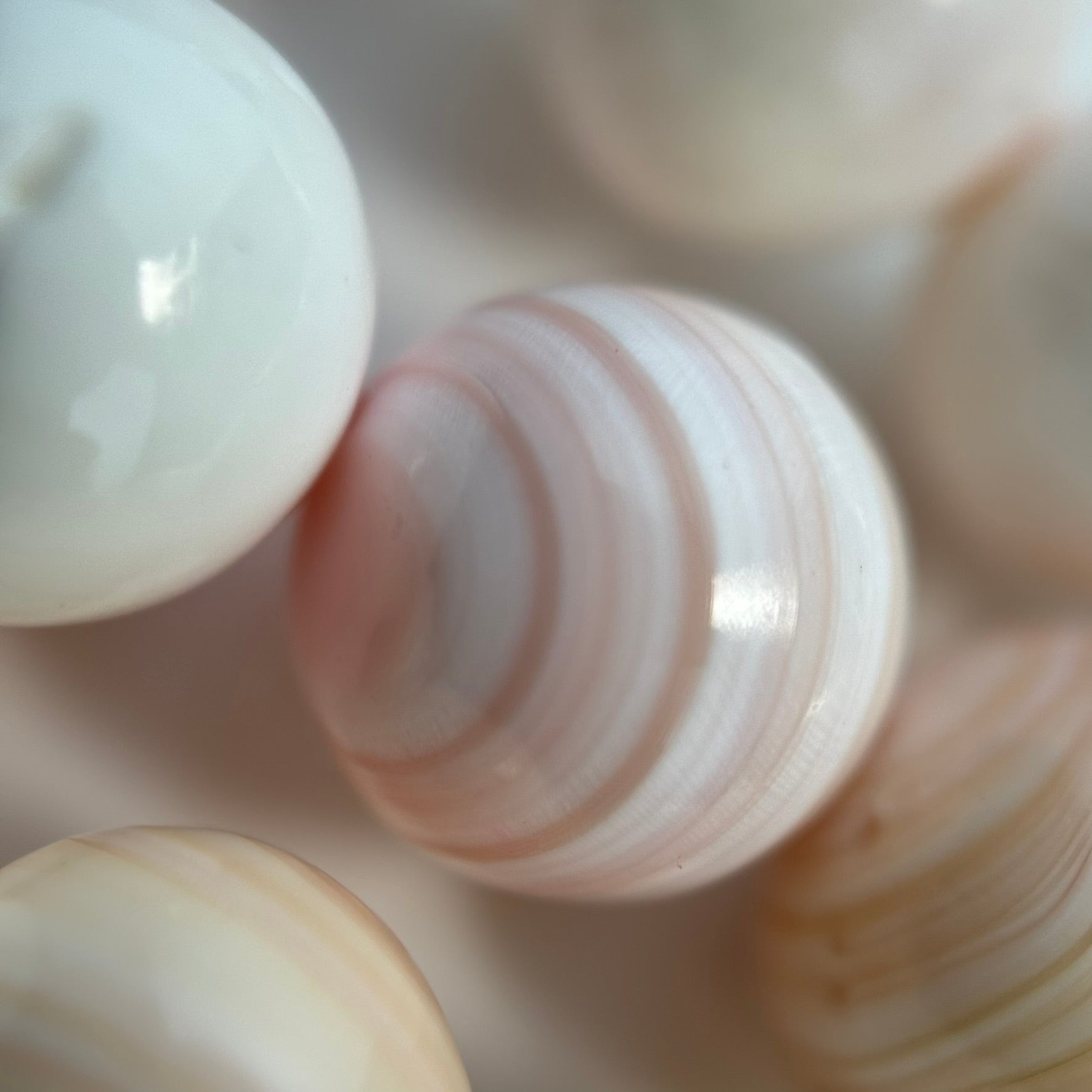 Pink Shell Polished Round Beads image 4