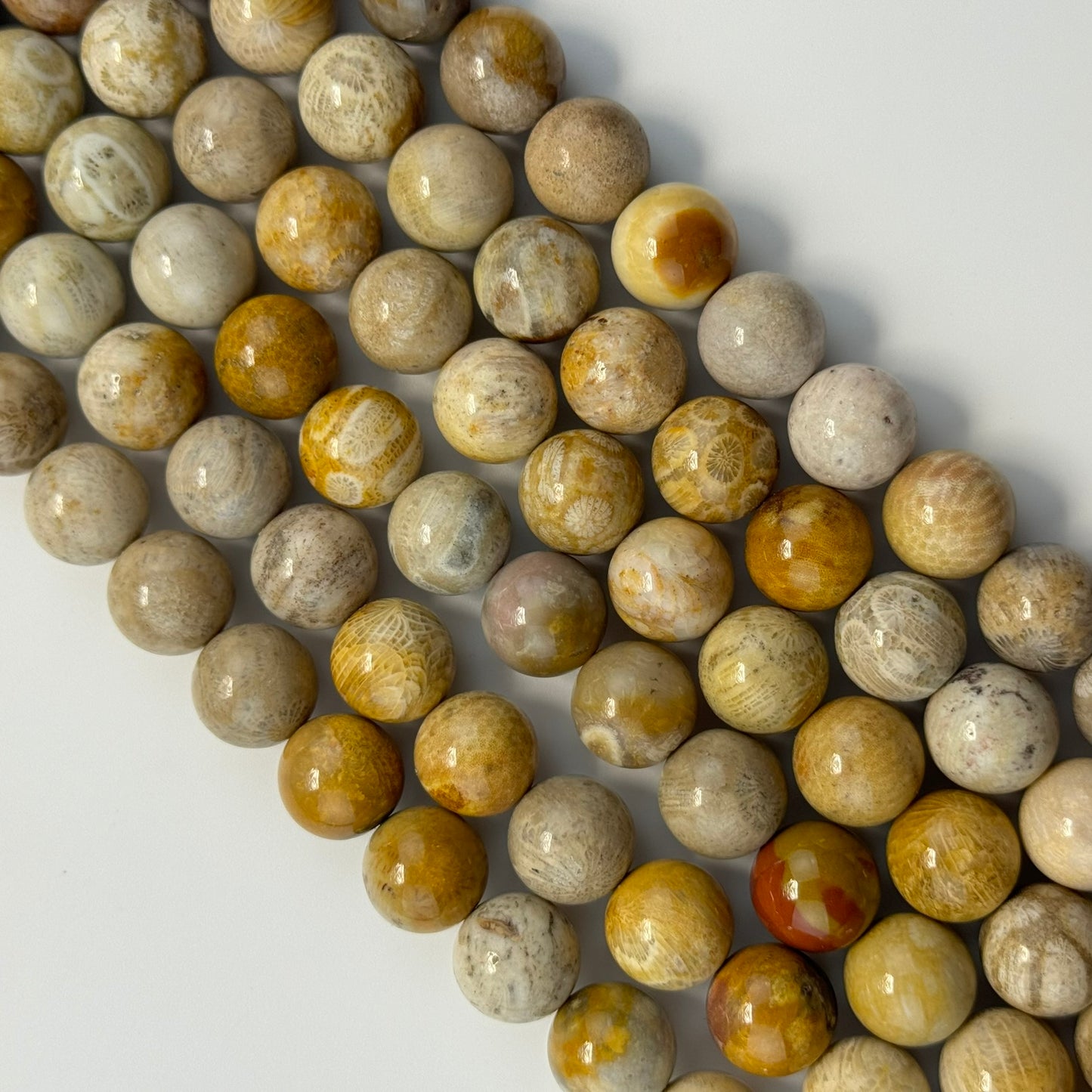 Fossilized Coral Polished Roudn Beads image 10