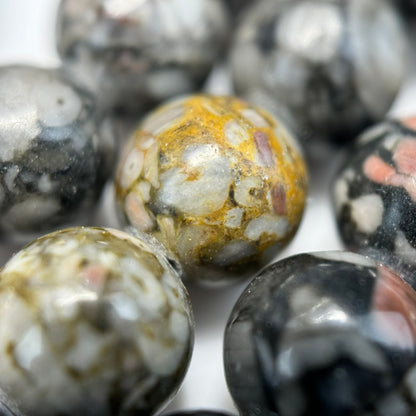 Pink Fossil Agate Polished Round Beads  (8 mm) image 2