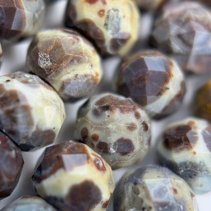 Ocean Fossil Jasper Faceted Rondelle Beads image 7