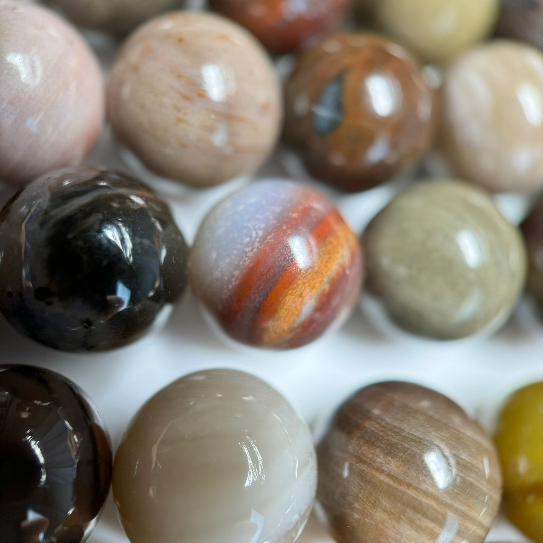 Brown Petrified Wood Polished Round Beads image 2