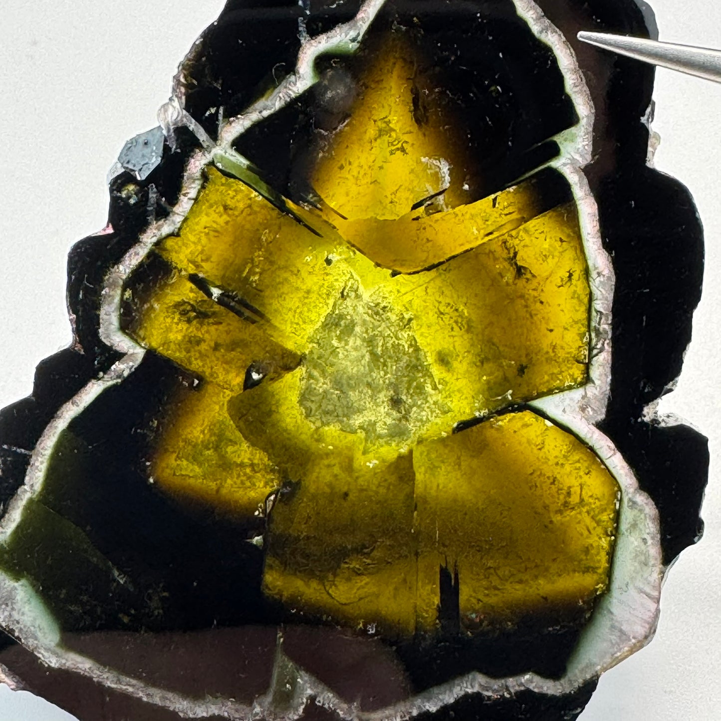 Watermelon Tourmaline (217 CT) image 4