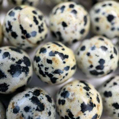 Dalmatian Jasper Polished  Round Beads image 2
