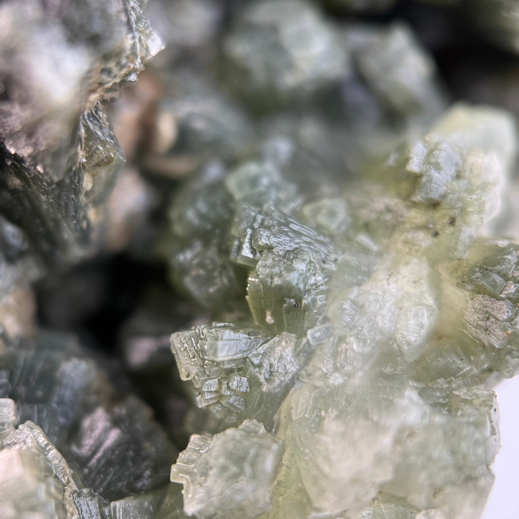 Prehnite with Epidote Minerals image 5