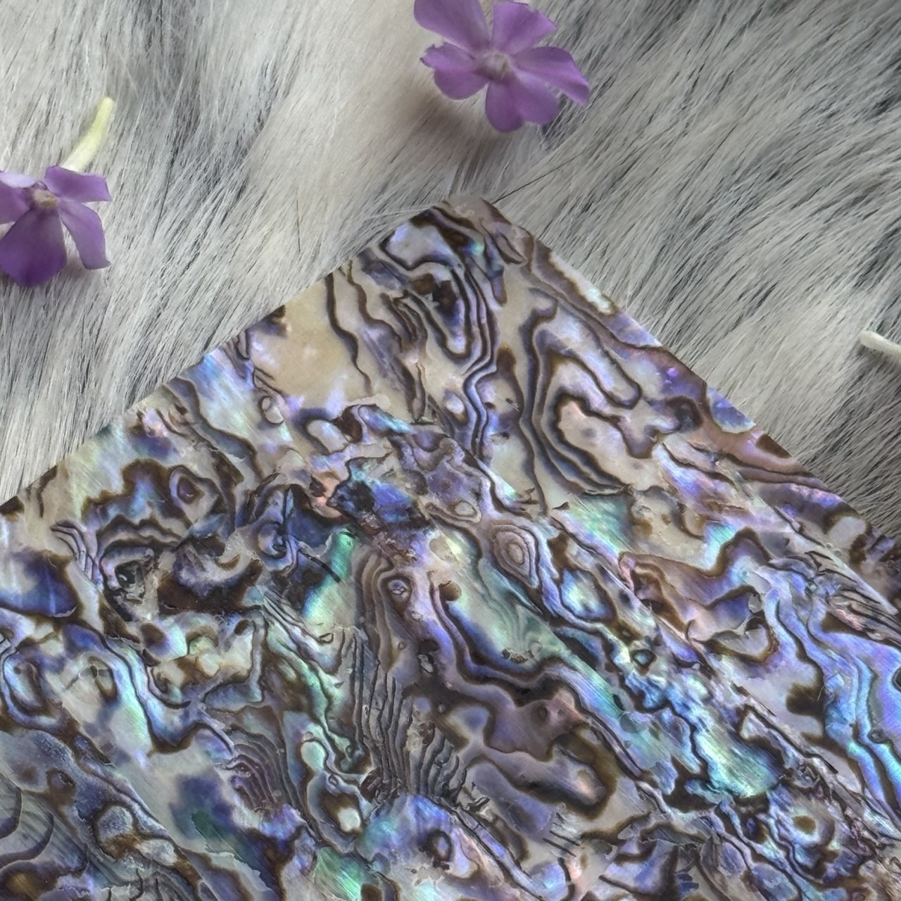 Natural Abalone Shell Inlay Sheet for Jewelry Making & Crafts