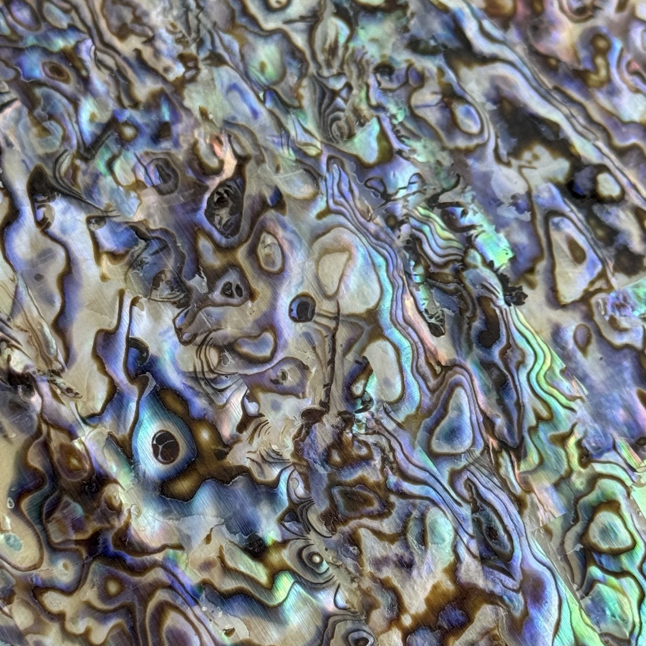Natural Abalone Shell Inlay Sheet for Jewelry Making & Crafts