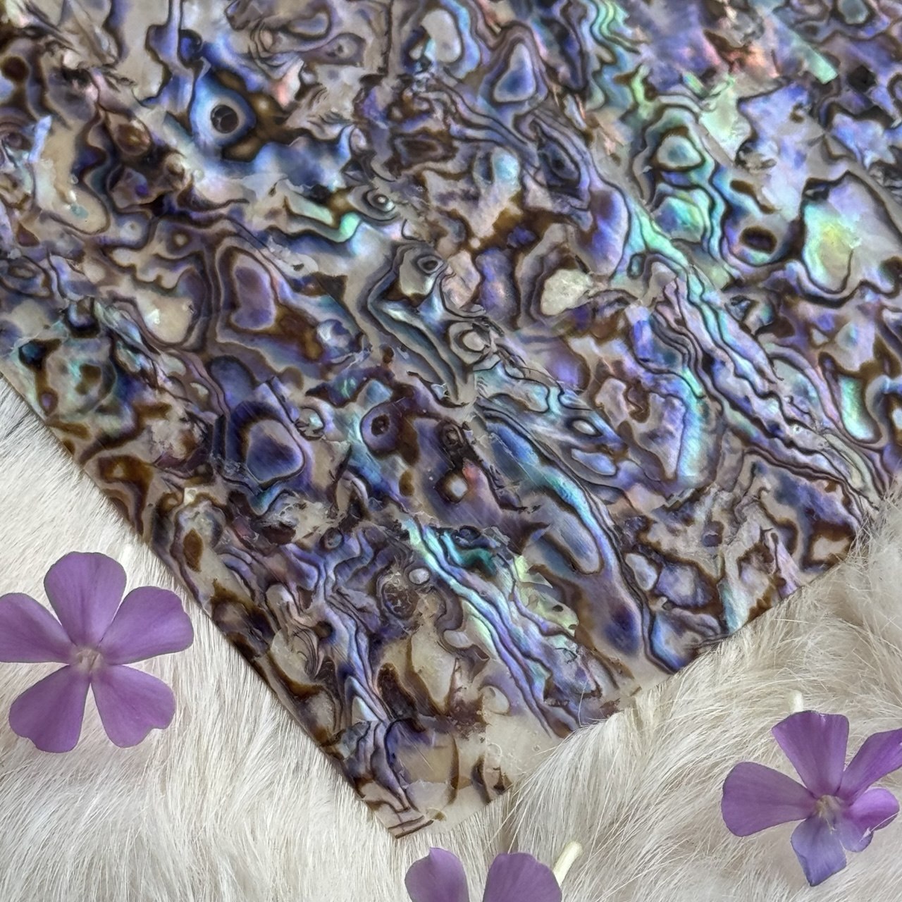 Natural Abalone Shell Inlay Sheet for Jewelry Making & Crafts